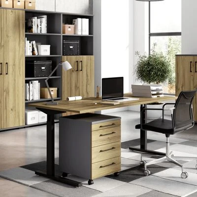 Germania Armoire sur roulettes GW-Profi 2.0 42x49x61 cm Graphite/chêne 2 Germania Armoire sur roulettes GW-Profi 2.0 42x49x61 cm Graphite/chêne – Image 2