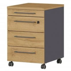 Germania Armoire sur roulettes GW-Agenda 42x49x61 cm Graphite/chêne