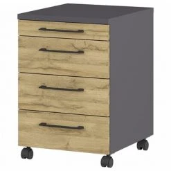 Germania Armoire sur roulettes GW-Profi 2.0 42x49x61 cm Graphite/chêne