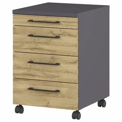 Germania Armoire sur roulettes GW-Profi 2.0 42x49x61 cm Graphite/chêne 1 Germania Armoire sur roulettes GW-Profi 2.0 42x49x61 cm Graphite/chêne