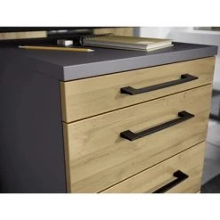 Germania Armoire sur roulettes GW-Profi 2.0 42x49x61 cm Graphite/chêne 8 Germania Armoire sur roulettes GW-Profi 2.0 42x49x61 cm Graphite/chêne -Casiers Soldes Boutique image 3 438418