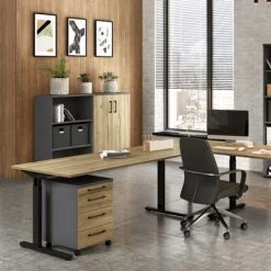 Germania Armoire sur roulettes GW-Profi 2.0 42x49x61 cm Graphite/chêne 9 Germania Armoire sur roulettes GW-Profi 2.0 42x49x61 cm Graphite/chêne -Casiers Soldes Boutique image 4 438418