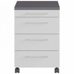 Germania Armoire sur roulettes GW-Profi 2.0 42x49x61 cm Gris clair -Casiers Soldes Boutique image 4 438419