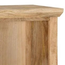 VidaXL Buffet avec porte 45x32x110 cm Bois de manguier solide -Casiers Soldes Boutique image 5 289098