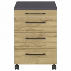 Germania Armoire sur roulettes GW-Profi 2.0 42x49x61 cm Graphite/chêne 10 Germania Armoire sur roulettes GW-Profi 2.0 42x49x61 cm Graphite/chêne -Casiers Soldes Boutique image 5 438418