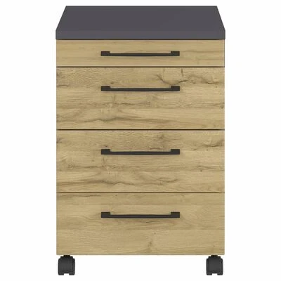 Germania Armoire sur roulettes GW-Profi 2.0 42x49x61 cm Graphite/chêne 5 Germania Armoire sur roulettes GW-Profi 2.0 42x49x61 cm Graphite/chêne – Image 5